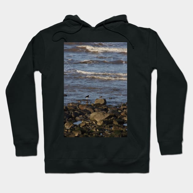 Oyster Catchers Hoodie by Colin-Bentham